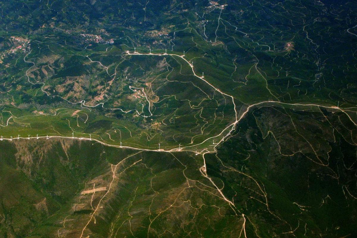Arrival & Srinagar